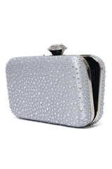 CLASSIC TIMELESS CLUTCH-SILVER