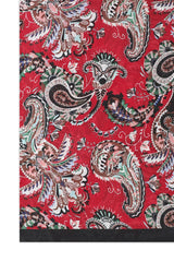 VIOFLAIR MODERN ART SCARF